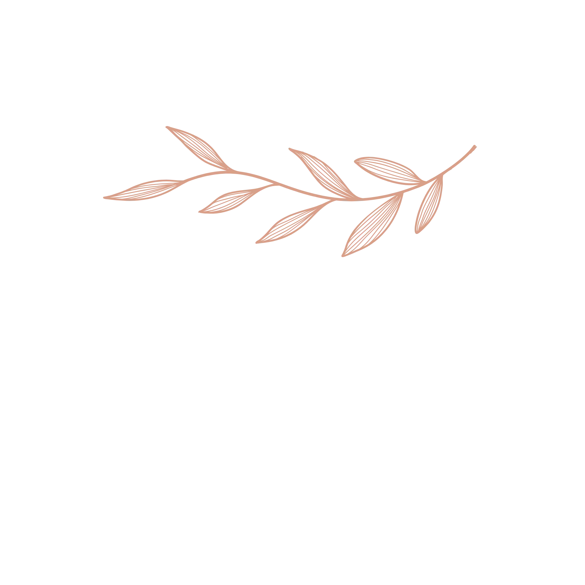 Feuille décorative utilisée comme élément de séparation.